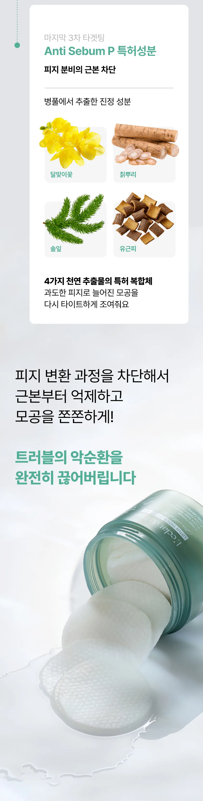 로터스 트러블 케어 패드 미니 상세 이미지 36